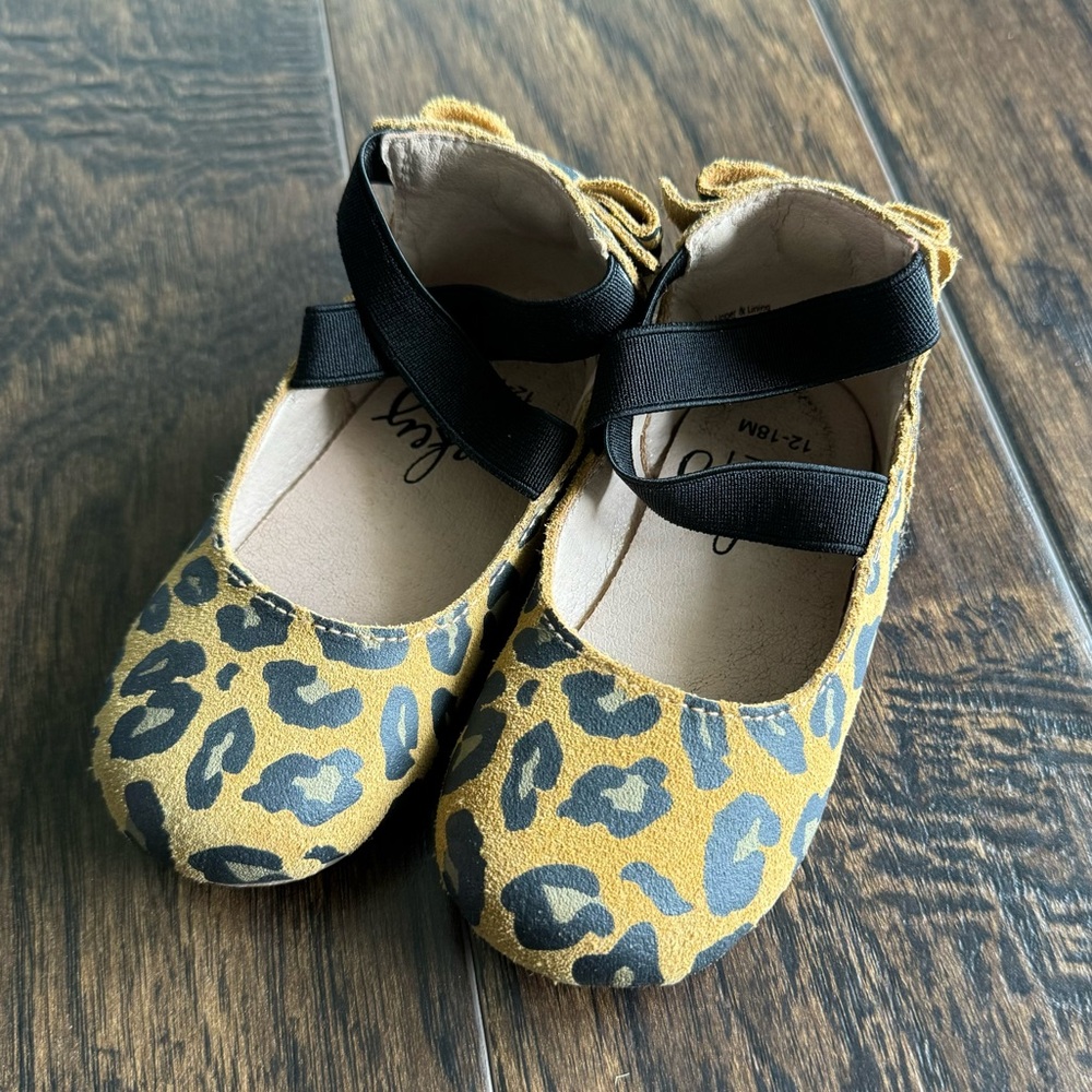 Money Feet ballet flats